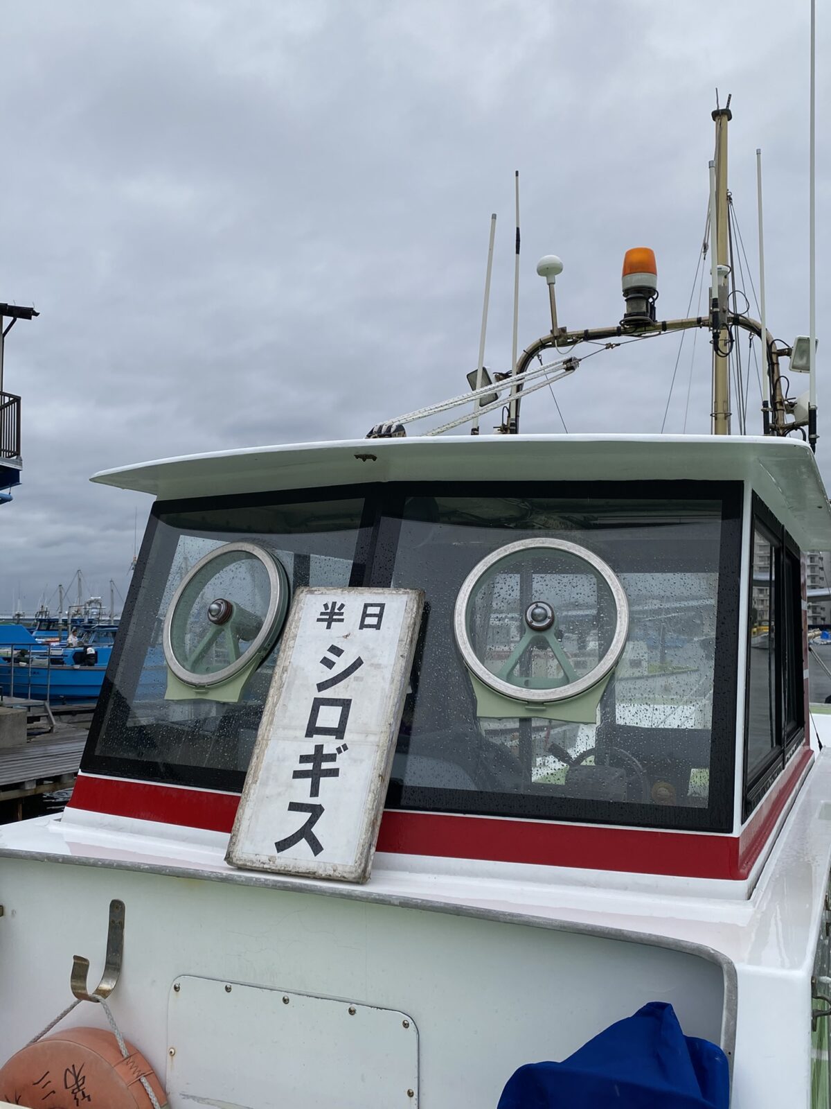 2025年5月31日シロギス釣り（金沢八景弁天屋）